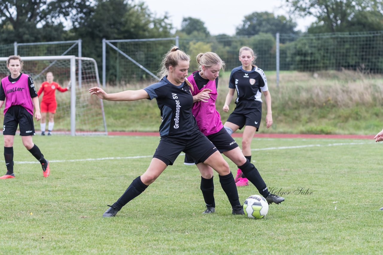 Bild 171 - Frauen Grossenasper SV - SV Steinhorst/Labenz : Ergebnis: 1:3